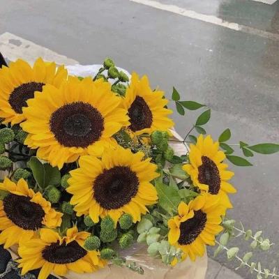 乐趣购彩-登录入口